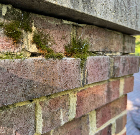 Moss in your chimney is a problem